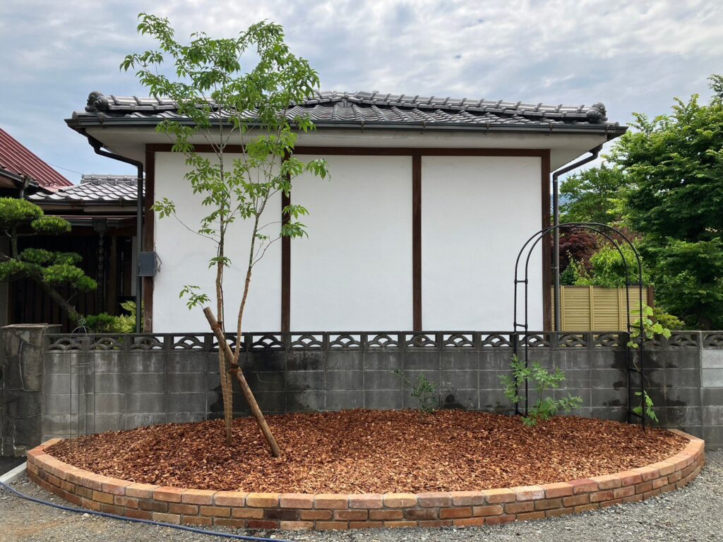 施工後:レンガで縁取った花壇とアオダモ。